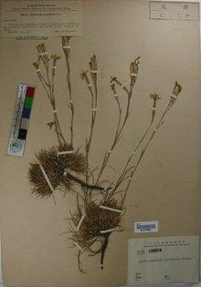 社会现实的经典句子 你不是怀念从前，你只是现在过得不好