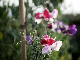 职场正能量经典励志名言短句(精选109句)