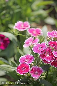 钱看透人心的经典语录(精选35句)