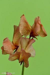 描写处暑节气的优美句子(精选45句)