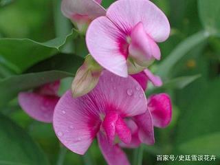 致自己的阳光短句大全 温暖励志唯美的短句子