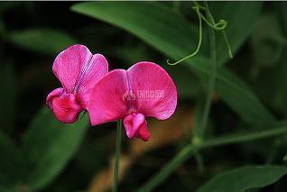 禁放烟花爆竹标语宣传口号大全