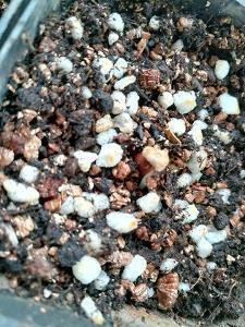 美到心碎的句子及配图