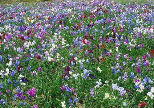 晚上失眠人生感悟句子(精选108句)