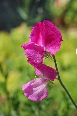 朋友圈关于养生的说说 年轻人开始养生的说说