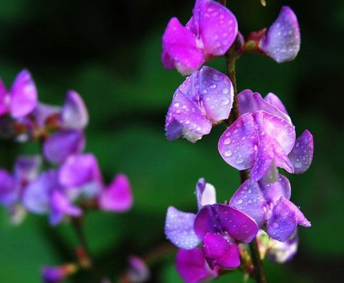 疫情鼓励的句子 西安抗击疫情文案(精选38句)