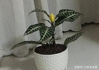 狂风暴雨发朋友圈的心情说说 狂风暴雨很害怕的心情短句