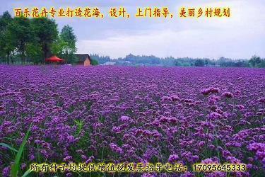 2021十月优美句子文案大全