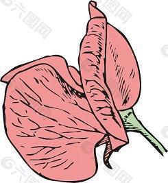 搞笑电视购物推销广告词大全