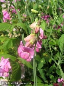 各种开车套路话 高级情话套路