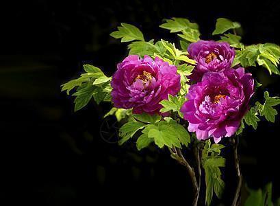 汶川大地震纪念日 512大地震十三周年朋友圈说说汇编49句