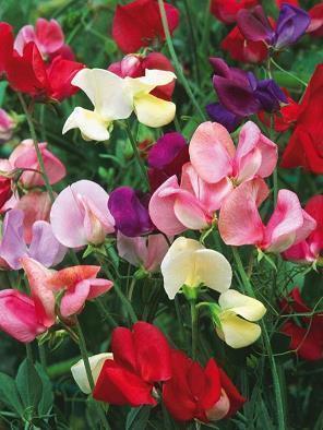 晚安语录夜间正能量语录推荐31句