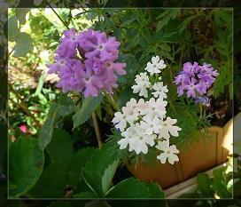 表达环保的古诗词 关于环保的名言推荐74句