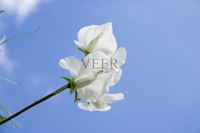 致未来自己的唯美句子 写给未来的自己一段话