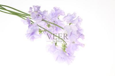 温馨晚安句子 暖心睡前心语汇总49句