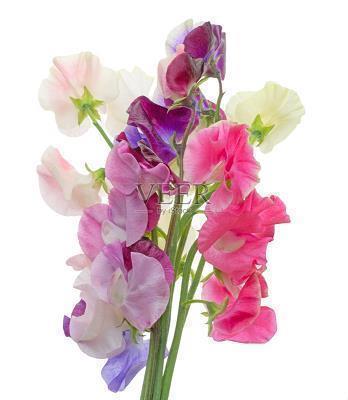 用笑逐颜开造句长句子 笑逐颜开的意思是什么