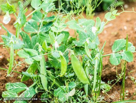 朋友圈找工作的句子汇总32句