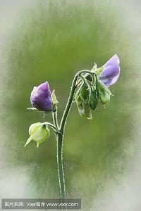 表达对感情失望的说说集锦23句