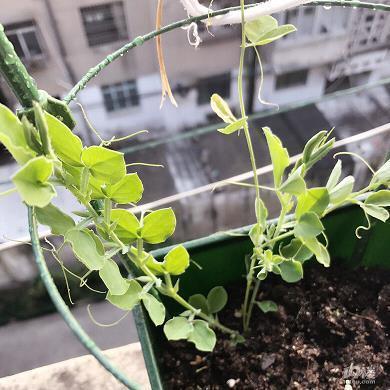 送给自己最好的闺蜜的话简短