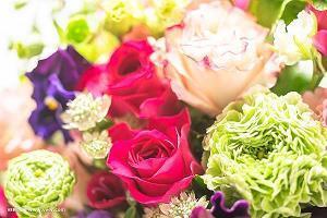 流行的三八节祝福句子说说72句
