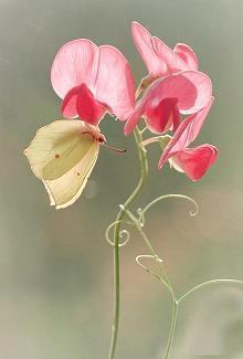 触碰心底最脆弱说说句子 一句触碰心灵的句子34句