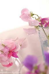 我对他非常失望的句子