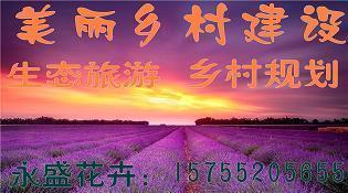 2021开学第一天的发朋友圈的文案 新学期文案句子