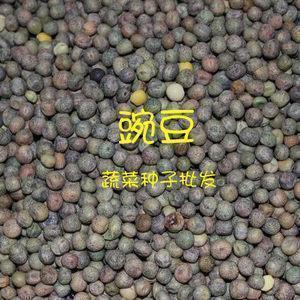 深夜最扎心的伤感文案(精选76句)