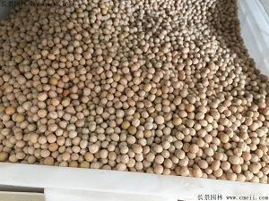 看淡一切无所谓的句子 看淡世态炎凉的说说锦集23句