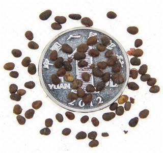 夸女朋友的句子带幽默