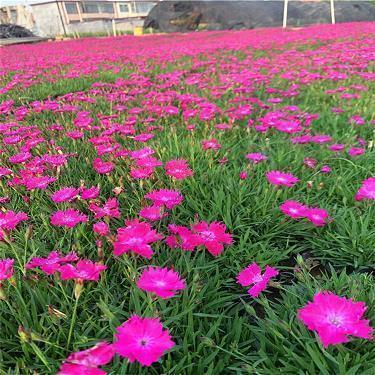 忙碌一天结束精美语句(精选30句)