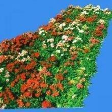 2021立夏祝福语精选64句