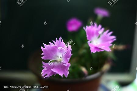 适合秋分发的朋友圈说说(精选43句)