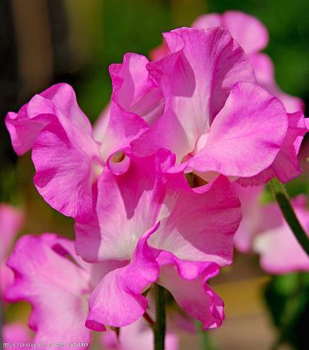 豪言壮语的句子 豪言壮语励志句子(精选18句)