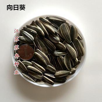 适合晒太阳发圈的句子(精选27句)