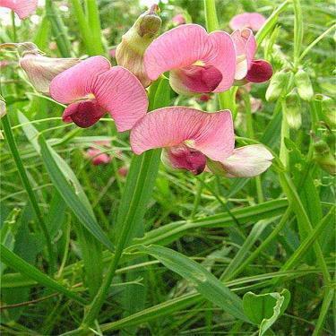 每日一读正能量经典语录(精选37句)