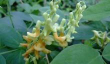 早安一句话唯美句子 早安心语正能量短句推荐65句