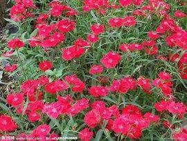 晚安语录发朋友圈一句话汇编39句