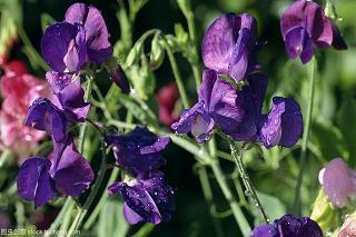 生活中太多无奈的句子说说心情2021年(精选60句)