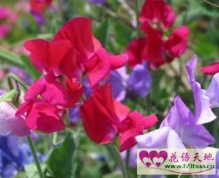让人觉得温暖的句子(精选33句)