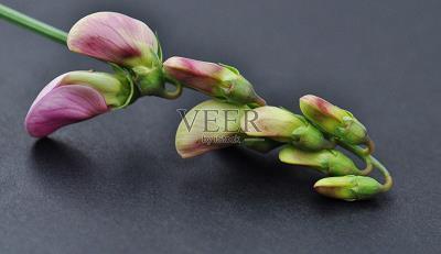 祝福语大全 精简祝福语