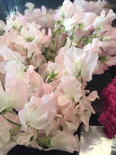 张国荣经典台词歌词,张国荣说过的经典话语录