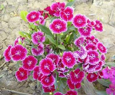 2021最新经典励志句子91句