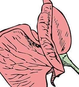 最心酸委屈伤感的话