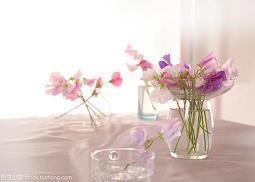 留念的句子72句