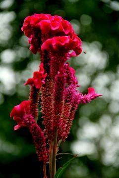 唯有自己强大的语录 自我强大的经典语句(精选70句)