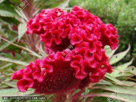 用引人入胜造句大全 引人入胜怎么造句