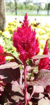 夸女生漂亮的话69句