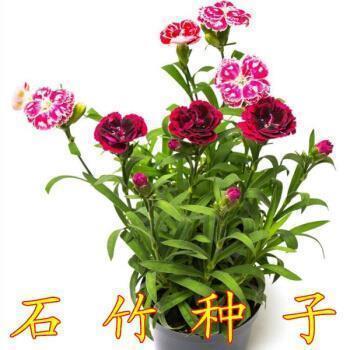 鼓励朋友要坚强的名言