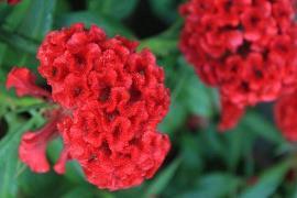 暗示想念某人的句子 想念却不敢打扰的句子45句